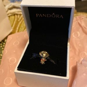 Harry Potter Ron Weasley Pandora Charm RETIRED